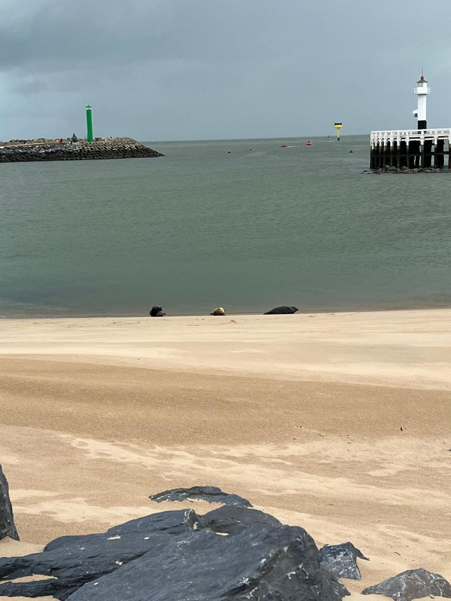Bonelly Apartamento Ostend Exterior foto